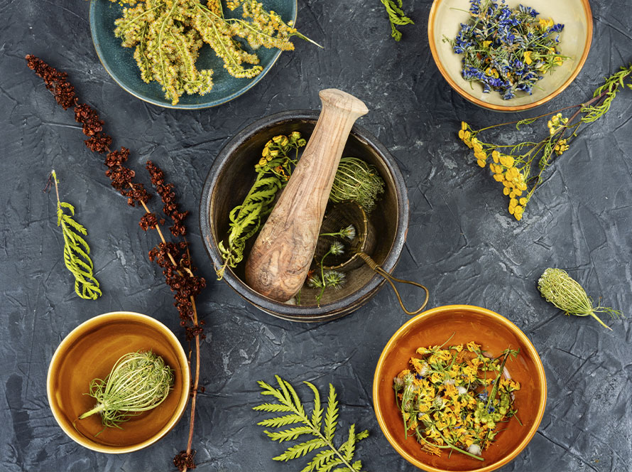 Fabrication-de-remèdes