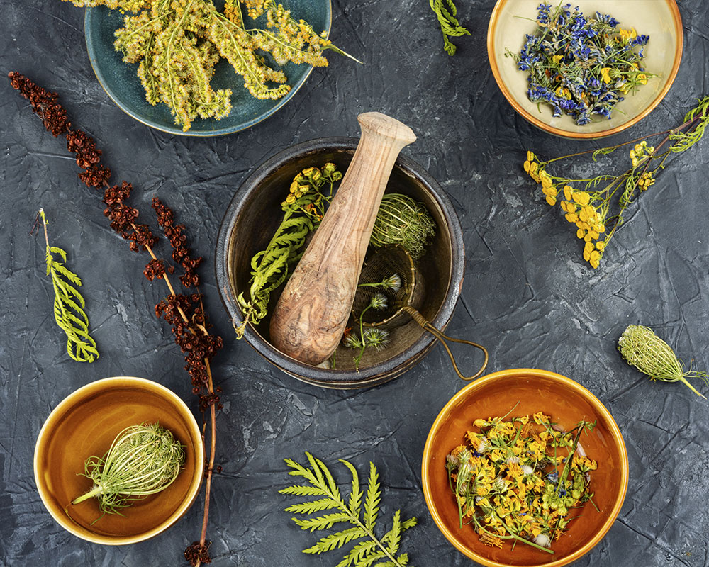 Sécurité alimentaire et plantes médicinales