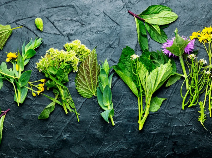 Usages-et-choix-des-produits-de-santé-naturelle