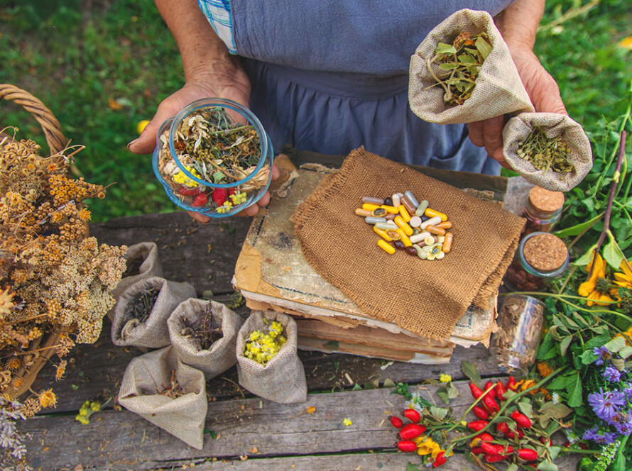 bases-scientifiques-en-phytochimie