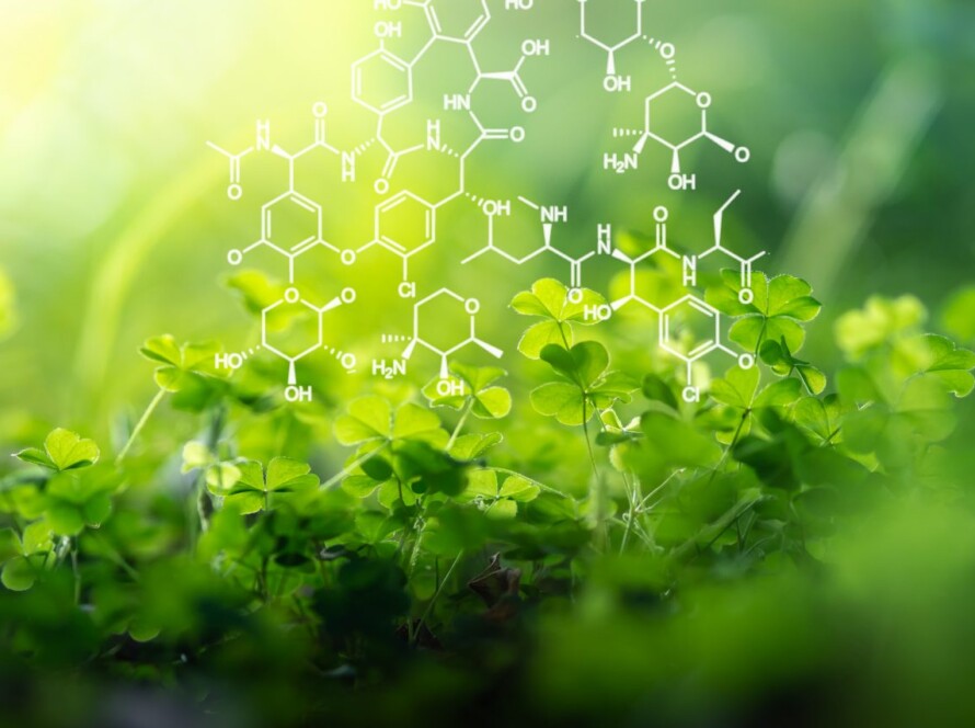 bases scientifiques en phytochimie