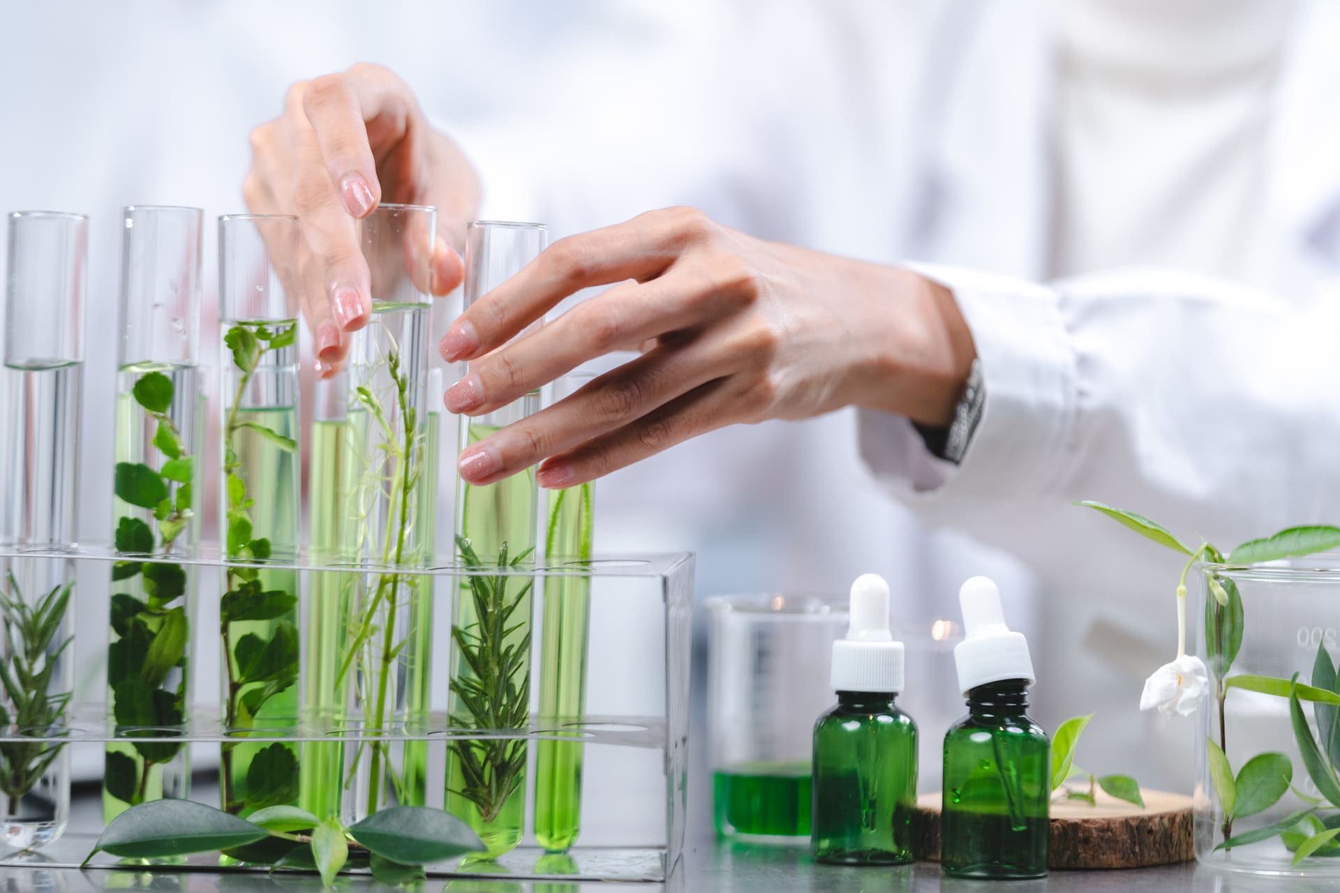 Formation en herboristerie et chimie des plantes médicinales