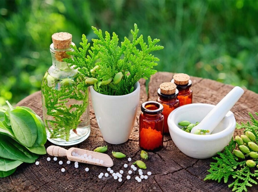 praticiens en santé naturelle - herboristerie