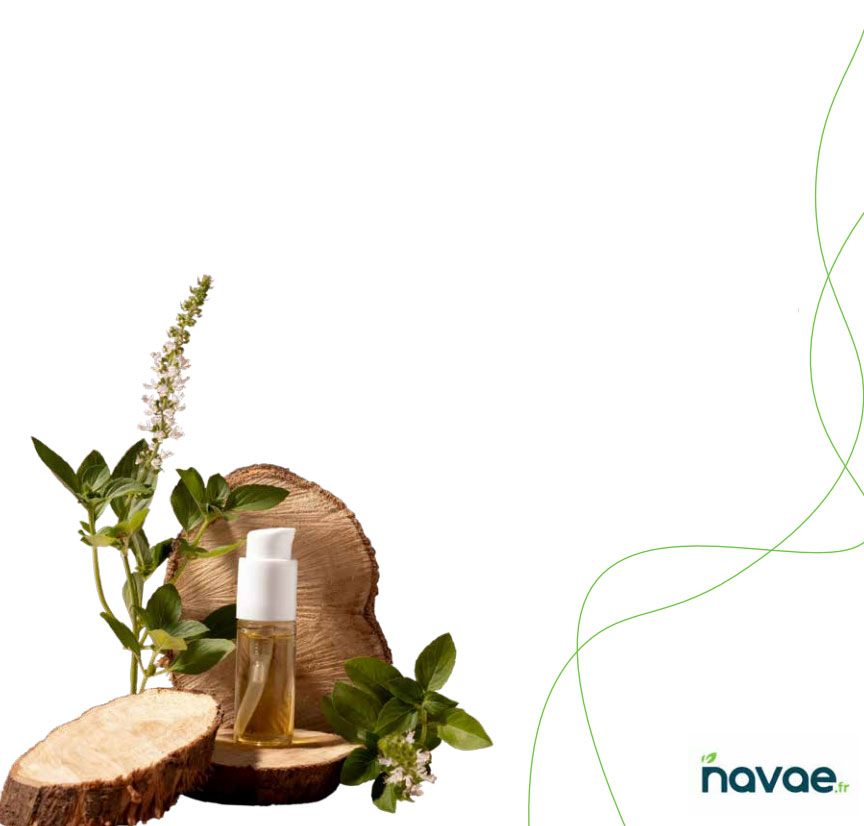 Formation aromathérapie énergétique